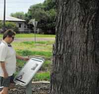Augathella Kenniff Tree - Accommodation Cairns