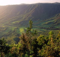 Pine Grove Circuit - Accommodation Cairns