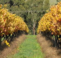 Wild Dog Winery  Restaurant - Accommodation Cairns