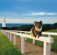 Cape Otway Lightstation - Accommodation Cairns