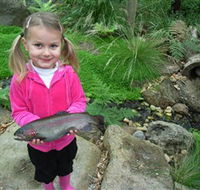 Wild Food Farm  Cafe - Accommodation Cairns
