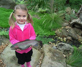 Wild Food Farm & Cafe - Accommodation Cairns 0