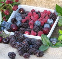Bright Berry Farms - Accommodation Cairns
