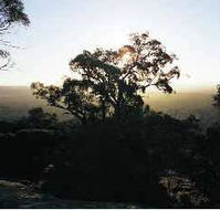 Yarra Flats - Accommodation Cairns
