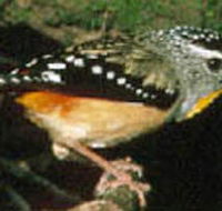 Reef Hills State Park - Accommodation Cairns