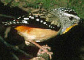 Reef Hills State Park - Accommodation Cairns 0