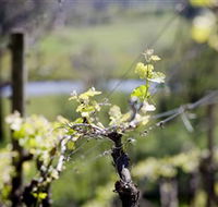 Norton Estate Wines - Accommodation Cairns