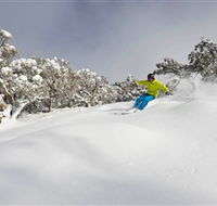 Mt Buller and Mt Stirling Alpine Resort - Accommodation Cairns
