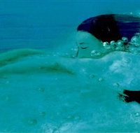 Muse - Accommodation Cairns