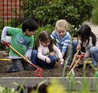 The Ian Potter Foundation Children's Garden - Accommodation Cairns