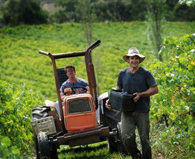 Kellybrook Winery & Kelly Brothers Cider - Accommodation Cairns 0