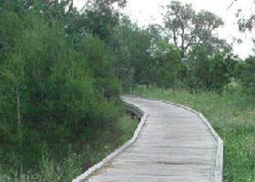 Shepherds Bush - Accommodation Cairns 0