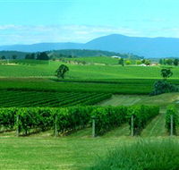 Acacia Ridge Vineyard - Accommodation Cairns