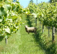 Passing Clouds - Accommodation Cairns