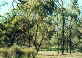 Normanville VIC Accommodation Cairns