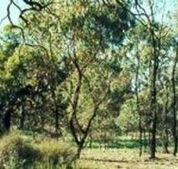 Leaghur State Park - Accommodation Cairns