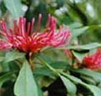 Alfred National Park - Accommodation Cairns