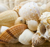 Anglesea Beach Club - Accommodation Cairns