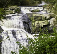 Agnes Falls Scenic Reserve - Accommodation Cairns