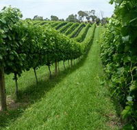The Cups Estate - Accommodation Cairns