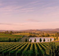 Oakridge Wines - Accommodation Cairns