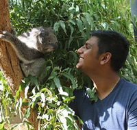 Healesville Sanctuary - Accommodation Cairns