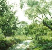 Holey Plains State Park - Accommodation Cairns