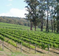 Piedmont Vineyard - Accommodation Cairns