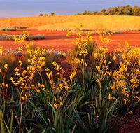 Royal Botanic Gardens Victoria Cranbourne - Accommodation Cairns