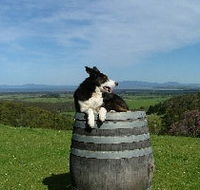 Windy Ridge Vineyard and Winery - Accommodation Cairns
