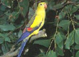 Lawloit VIC Accommodation Cairns