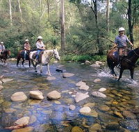 Howqua Hills Historic Area - Accommodation Cairns
