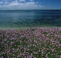 The Lakes National Park - Accommodation Cairns