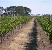 Mount Beckworth Wines - Accommodation Cairns