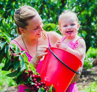 Cherryhill Orchards - Accommodation Cairns