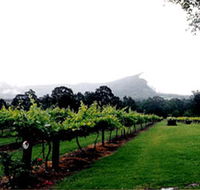 Cambewarra Estate Wines - Accommodation Cairns