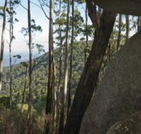 Gulaga National Park - Accommodation Cairns