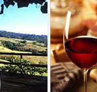 Jasper Valley Wines and Vines Cafe - Accommodation Cairns