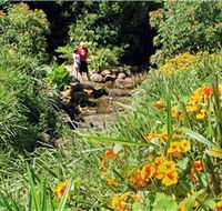 Bonaira Native Gardens - Accommodation Cairns