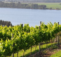 Two Figs Winery - Accommodation Cairns
