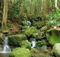Budderoo National Park - Accommodation Cairns