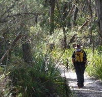 Barren Grounds Nature Reserve - Accommodation Cairns