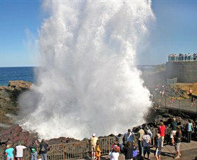 Kiama Blowhole - Accommodation Cairns 0