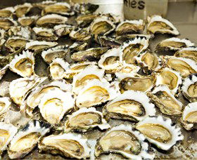Wheelers Oysters - Accommodation Cairns 0