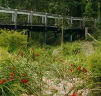 Eurobodalla Botanic Gardens - Accommodation Cairns