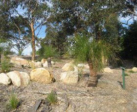 Curtis Park Arboretum - Accommodation Cairns 0