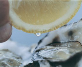 Pearly Oyster Bar And Farm - Accommodation Cairns 0