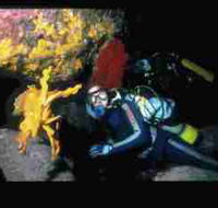 Solitary Islands Marine Park - Accommodation Cairns