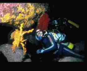 Solitary Islands Marine Park - Accommodation Cairns 0
