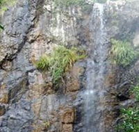 Wedding Bells Forest Drive - Accommodation Cairns